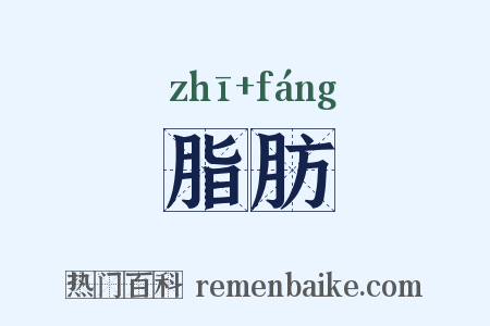 脂肪是什么意思的图片